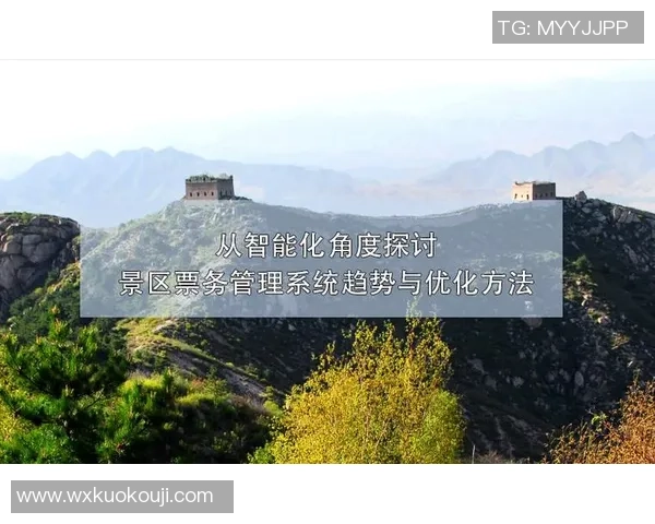 武汉排球队节奏表现分析与战术优化探讨 武汉排球队节奏表现分析与战术优化探讨