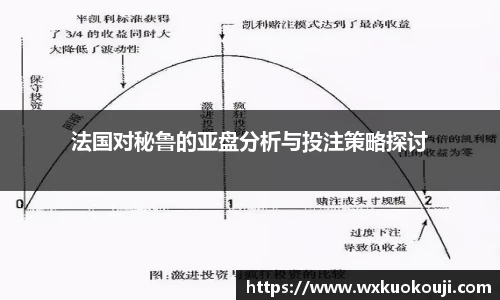 法国对秘鲁的亚盘分析与投注策略探讨