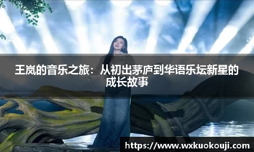 王岚的音乐之旅：从初出茅庐到华语乐坛新星的成长故事